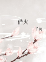 借火小说讲了什么