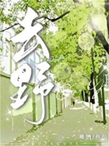 去野