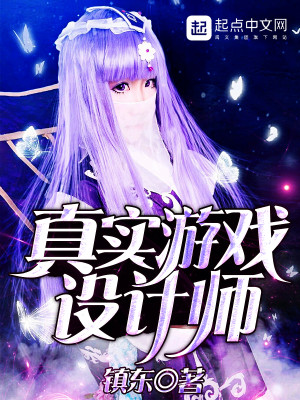 游戏 设计师