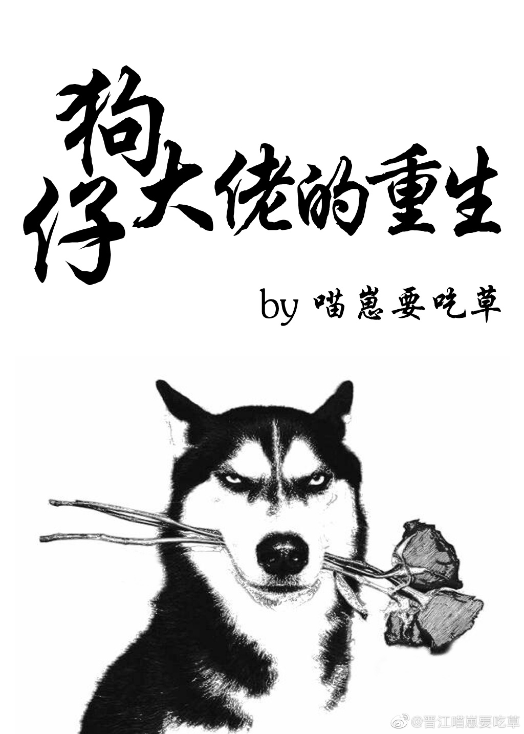 狗仔大佬是谁
