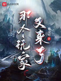 那个玩家又来了TXT下载