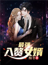 最强入赘女婿叶辰完整版一共多少章