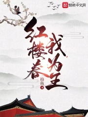 红楼:我为王