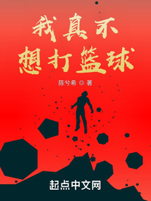 我真的只想打篮球