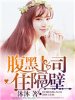 腹黑上神 小说