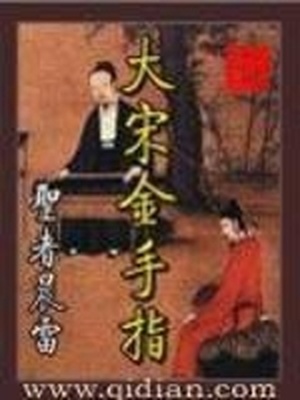 大宋金手指简介