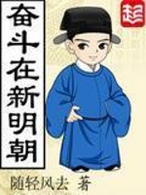 奋斗在新明朝小说