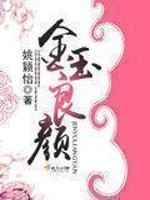 金玉良颜 小说