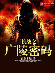 抗战密码天才电视剧