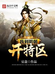 我到明朝开特区 百科