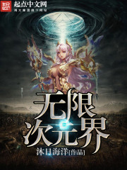 无限次元之主 小说