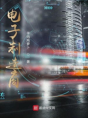 电子制造商零点小说网