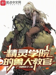精灵学院小说