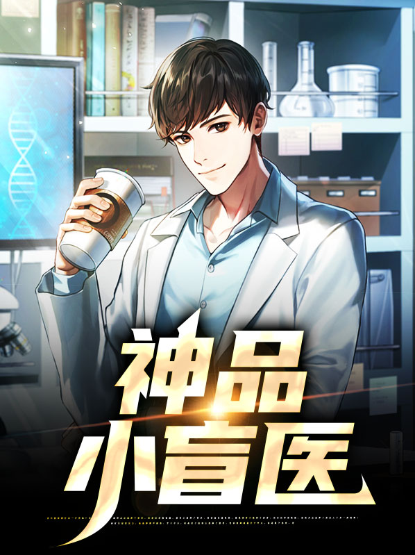 妙手小盲医小说