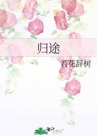 归途的诗句