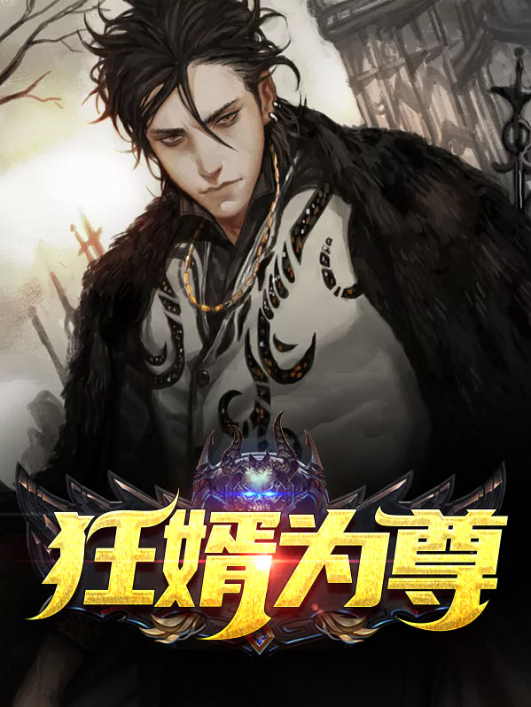 狂婿为尊叶凡