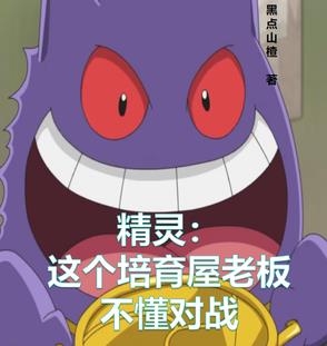 精灵培育屋小说