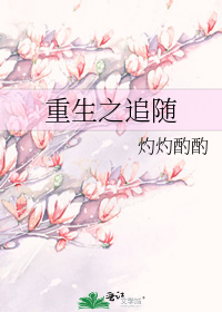 重生之追随