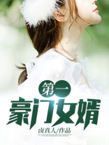 第一豪门女婿叶南风免费阅读