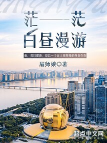 茫茫白昼漫游TXT