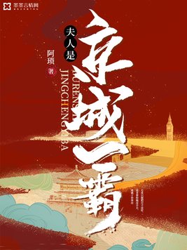 夫人是京城一霸书评