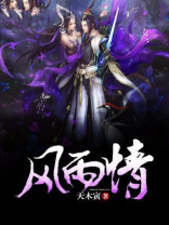 风雨情电视连续剧全集免费