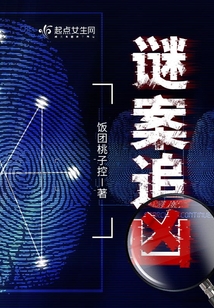 谜案追凶剧情分集介绍全