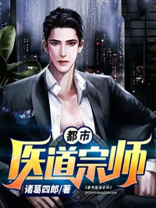都市医道宗师小说