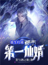 重生归来:都市第一仙婿