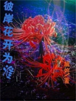 彼岸花开谁人渡,奈何桥头立佛土意思