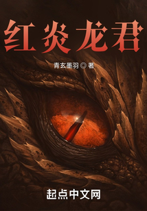 红炎龙君小说