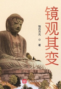 镜观其变小说
