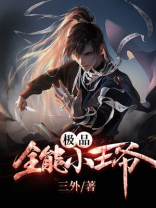 极品全能小王爷