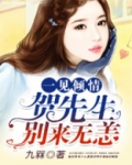 一见倾情,贺先生别来无恙