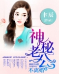神秘老公不离婚