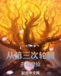从第三次轮回开始登仙