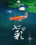 七星彩