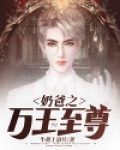 奶爸之万王至尊