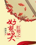 红楼之好想哭