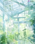 忱夏