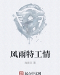 风雨特工情