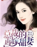 独家婚宠,总裁的再嫁甜妻