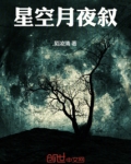 星空月夜叙