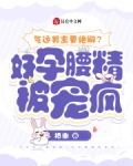 气运男主要绝嗣,好孕腰精被宠疯