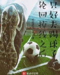 轮回掉线之后只好去踢球了