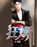 狂婿