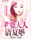 先宠后爱:老婆大人请复婚