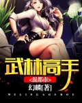 武林高手混都市