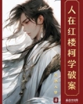 人在红楼,柯学破案