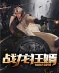 战龙狂婿